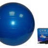 Гимнастический шар BD30 75 см с помпой